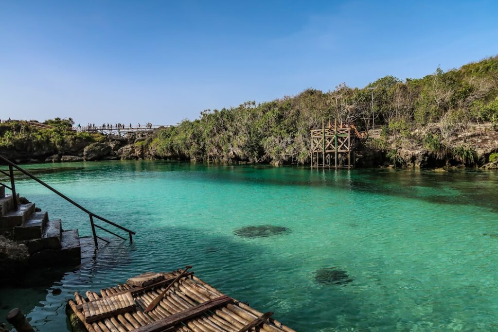 découvrez les bienfaits d'une piscine naturelle, un espace aquatique éco-responsable idéal pour se rafraîchir tout en préservant l'environnement. plongez dans une oasis de biodiversité et profitez d'une expérience de baignade sans produits chimiques, entouré de plantes et de paysages enchanteurs.